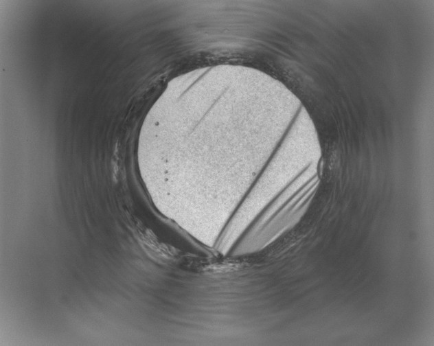 X0000068830868200606021640