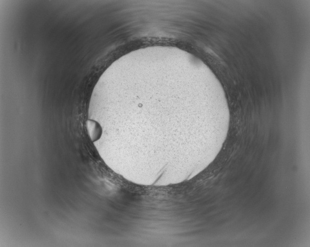 X0000068830870200606021640