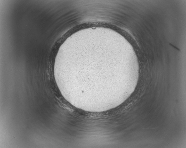 X0000068830871200606021640