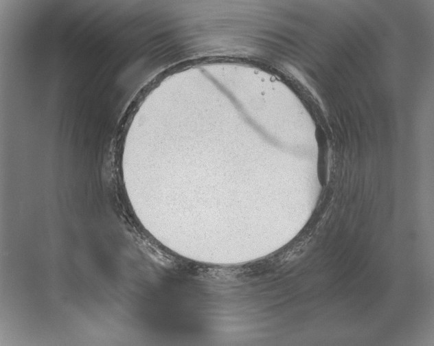 X0000068830875200606021640