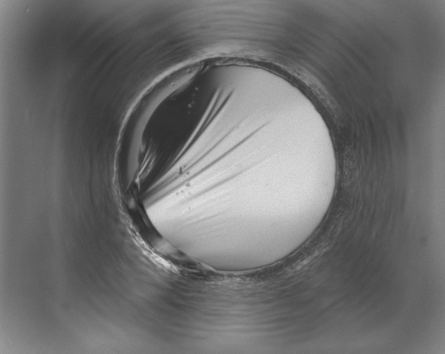 X0000068830880200606021640