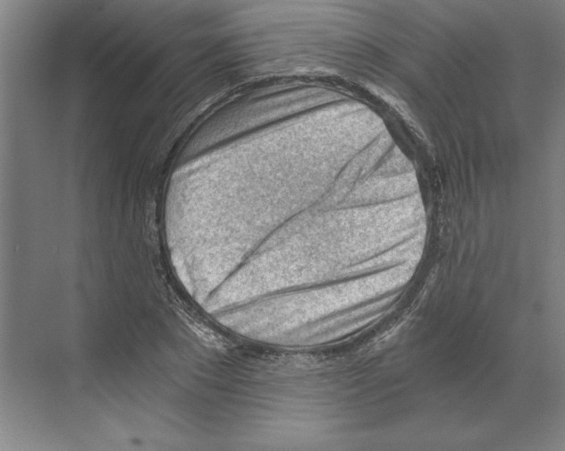 X0000068830881200606021640