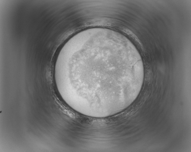 X0000068830882200606021640