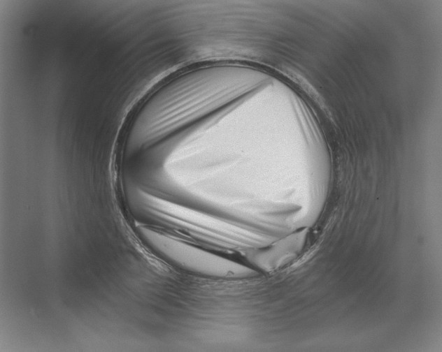 X0000068830885200606021640