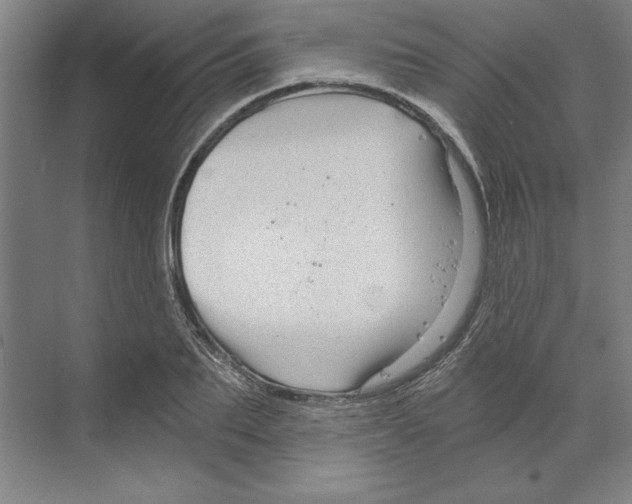 X0000068830887200606021640