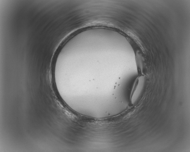 X0000068830888200606021640