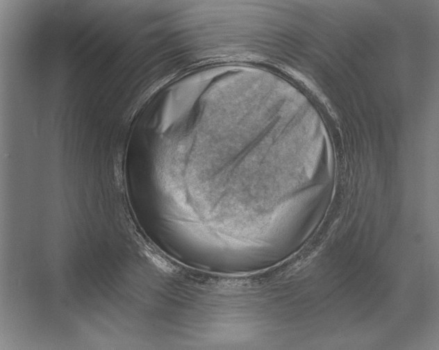 X0000068830889200606021640