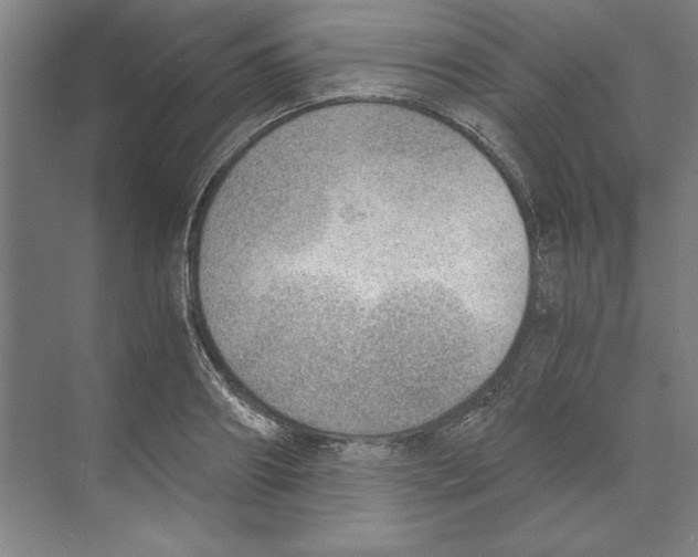 X0000068830890200606021640