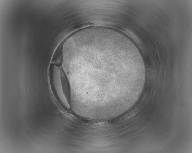 X0000068830891200606021640