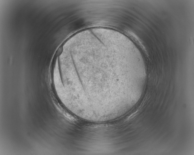 X0000068830892200606021640