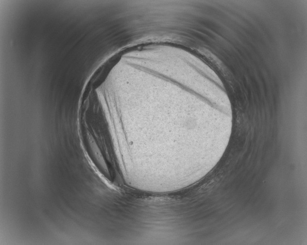 X0000068830894200606021640