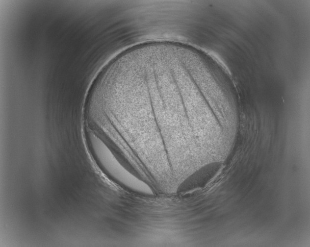 X0000068830895200606021640