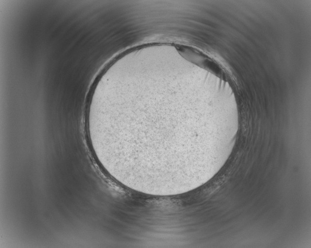 X0000068830896200606021640