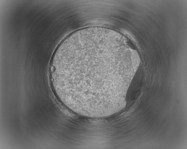 X0000068830899200606021640