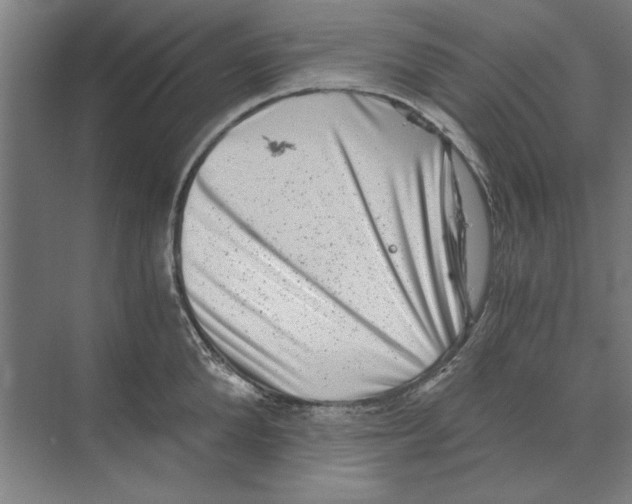 X0000068830904200606021640