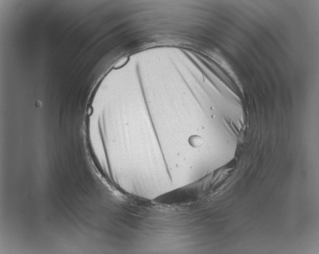 X0000068830906200606021639