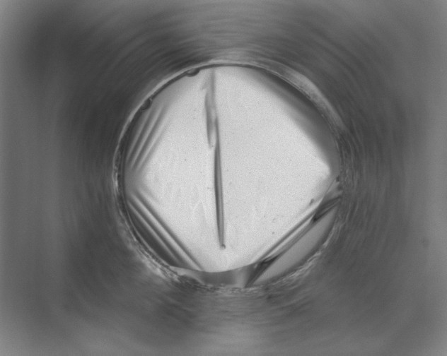 X0000068830908200606021639