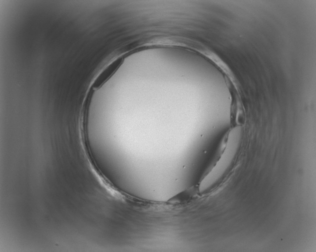 X0000068830909200606021639