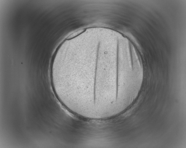 X0000068830910200606021639