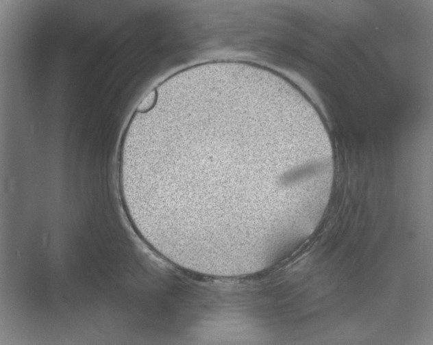 X0000068830911200606021639