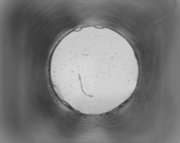 X0000068830912200606021639