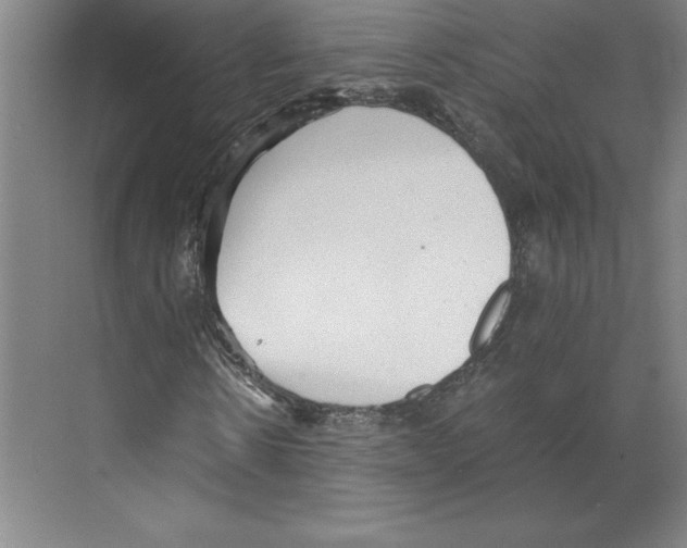 X0000068830914200606021639