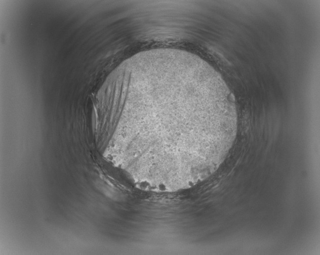 X0000068830917200606021639