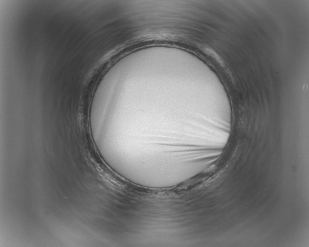 X0000068830922200606021639