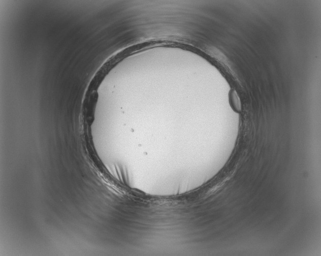 X0000068830924200606021639