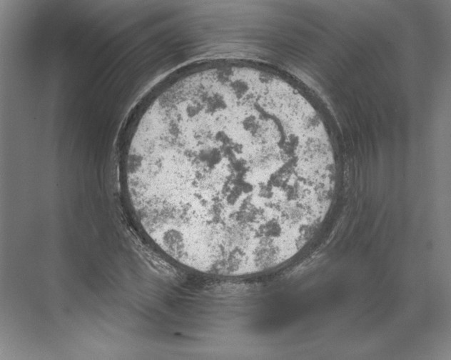 X0000068830925200606021639