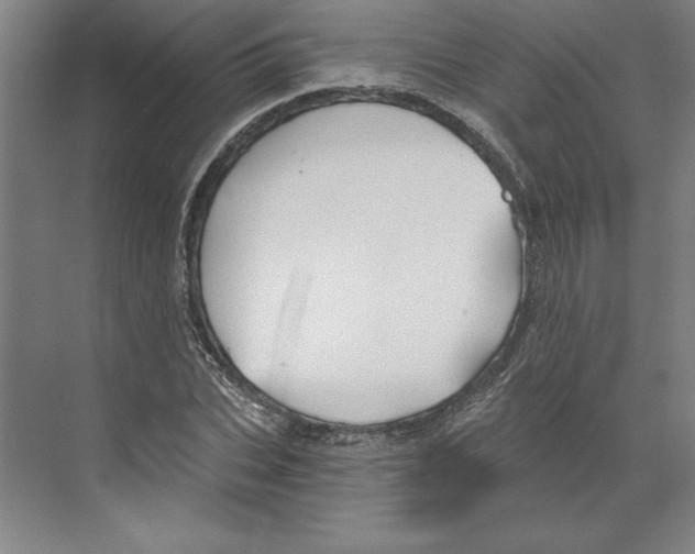 X0000068830927200606021639