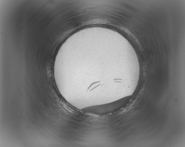 X0000068830929200606021639