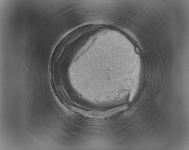 X0000068830935200606021639