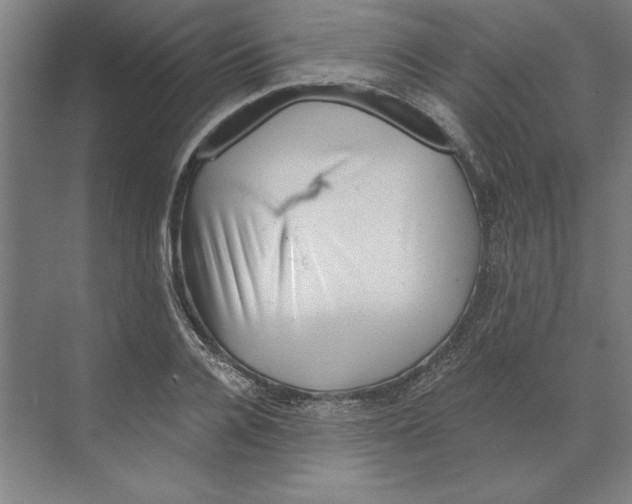 X0000068830936200606021639