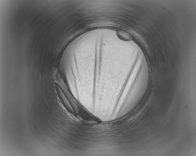 X0000068830937200606021639