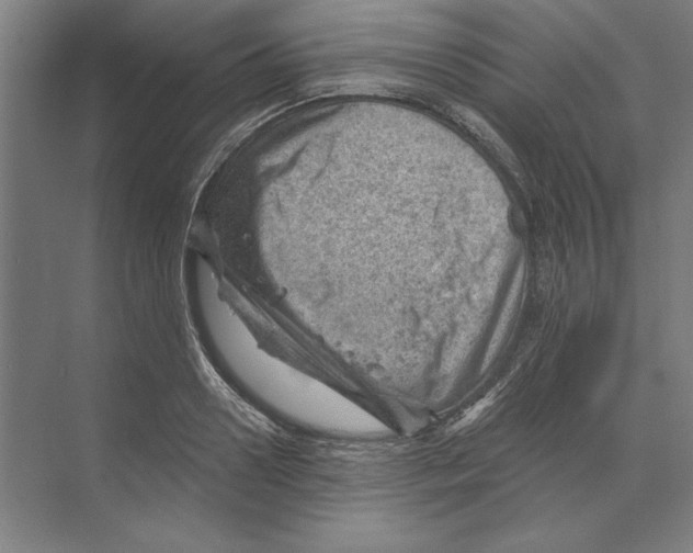 X0000068830938200606021639