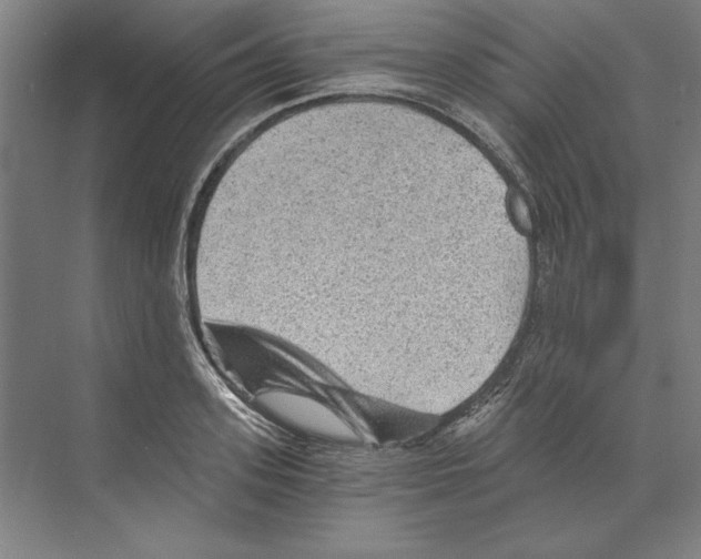 X0000068830939200606021639