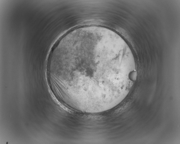 X0000068830941200606021639