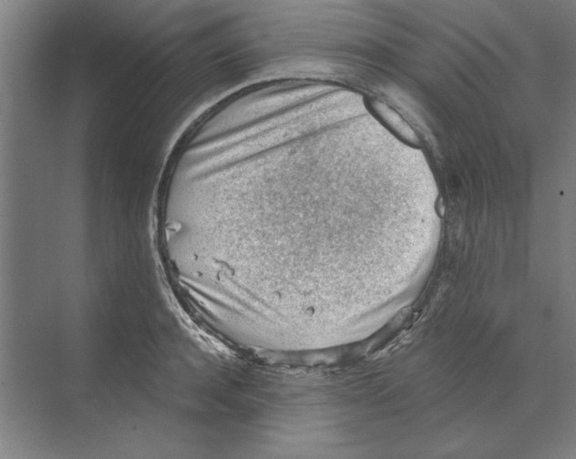 X0000068830944200606021639