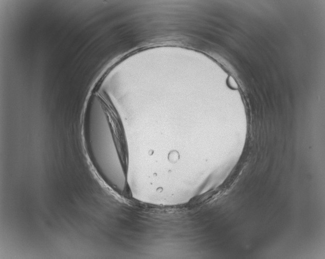 X0000068830949200606021639