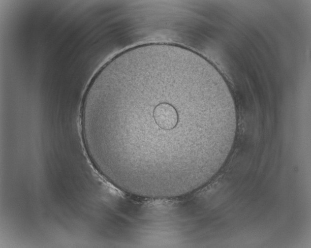 X0000068830950200606021639