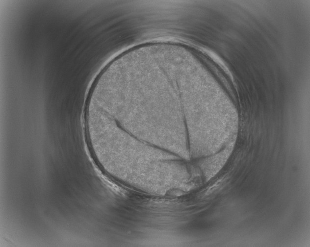 X0000068830951200606021639