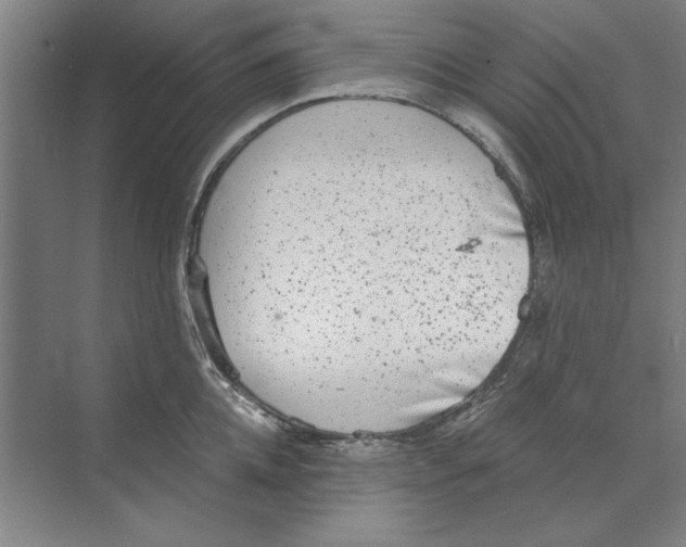 X0000068830952200606021639