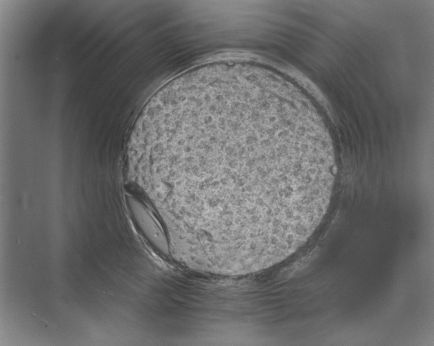 X0000068830953200606021639