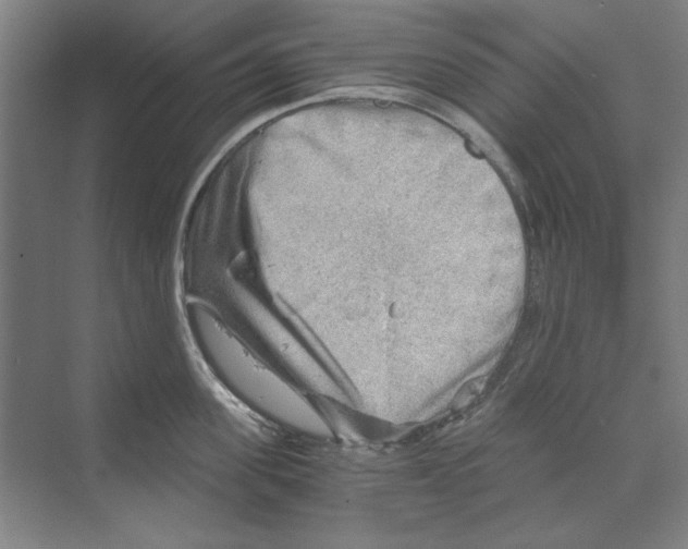 X0000068830955200606021639