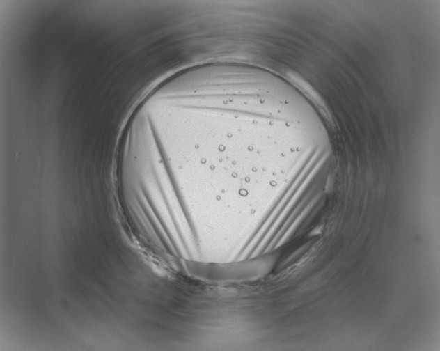 X0000068830956200606021639