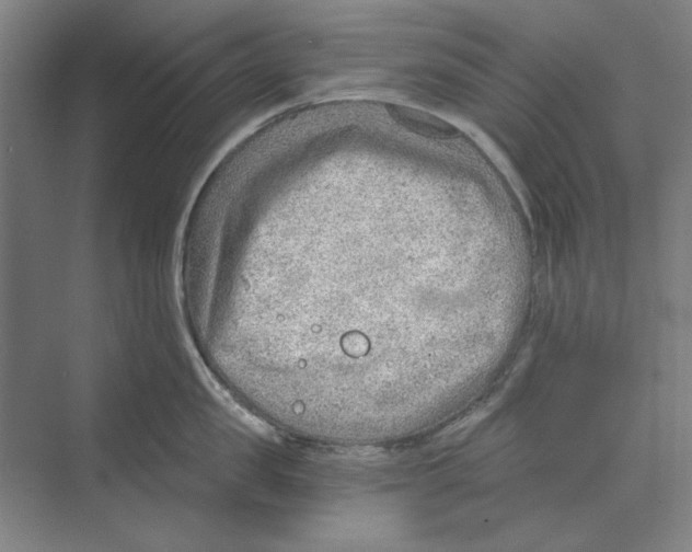 X0000068830957200606021639