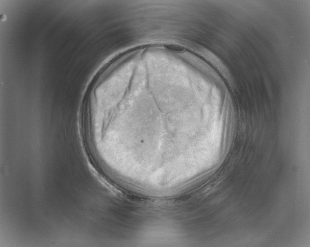 X0000068830958200606021639