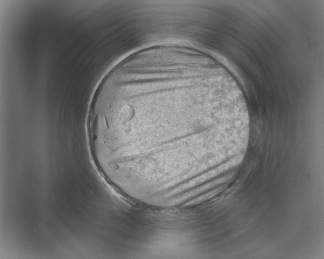 X0000068830959200606021639