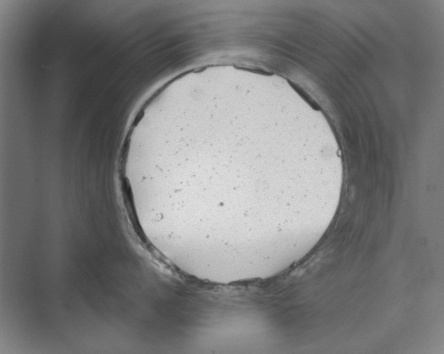 X0000068830960200606021639